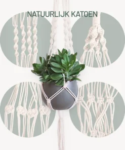 Gadgy Plantenhanger Macramé 3 Stuks - Luxe Gevlochten Touw Katoen - Plantenpot Ophangen - Hangpot -Tuinwereld Verkoop 1000x1200 14