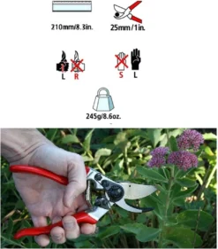 Felco 2 + GRATIS Felco Handschoenen In Cadeauverpakking -Tuinwereld Verkoop 1056x1200 2