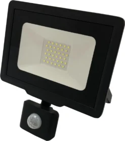 Dreamled LED Schijnwerper 30W Met Bewegingssensor