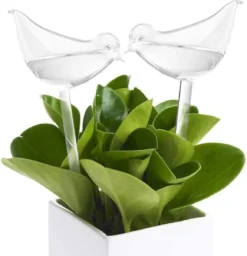 Luxe Planten Waterdruppelaar - Waterbol Vogel - Watergever - Watergeefsysteem Voor Planten & Bloemen - 200ML - Set Van 2 5 Luxe Planten Waterdruppelaar - Waterbol Vogel - Watergever - Watergeefsysteem Voor Planten & Bloemen - 200ML - Set Van 2 -Tuinwereld Verkoop 1160x1200 4