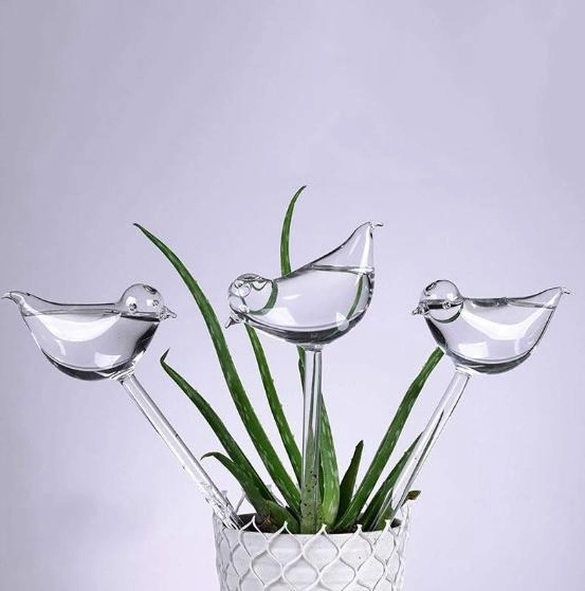 Waterdruppelaar Planten - Vorm Vogel - Set Van 3 Kunststof Druppelaars - 25cm Lengte - Genoeg Water Tijdens Je Vakantie 1 Waterdruppelaar Planten - Vorm Vogel - Set Van 3 Kunststof Druppelaars - 25cm Lengte - Genoeg Water Tijdens Je Vakantie