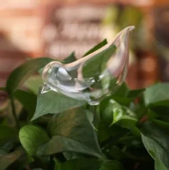 Waterdruppelaar Planten - Vorm Vogel - Set Van 3 Kunststof Druppelaars - 25cm Lengte - Genoeg Water Tijdens Je Vakantie 5 Waterdruppelaar Planten - Vorm Vogel - Set Van 3 Kunststof Druppelaars - 25cm Lengte - Genoeg Water Tijdens Je Vakantie -Tuinwereld Verkoop 1190x1200 5