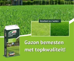 DCM Vital-Green Gazon - Gazonmest - Gazonmeststof Met MINIGRAN® Technology - 75m2 - 3 Kg -Tuinwereld Verkoop 1200x1000 6