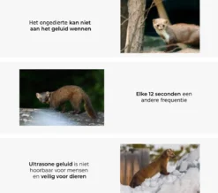 All-in-1 Marterverjager Pakket - Bescherm Je Auto, Woning Of Camper Tegen Steenmarters, Marters, Muizen En Ongedierte - RV Solutions® -Tuinwereld Verkoop 1200x1059 3