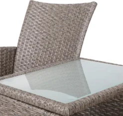 Casaria Tuinbank Polyrattan - 2-Zits Incl.Tafel - Weerbestendig Beige -Tuinwereld Verkoop 1200x1126 4