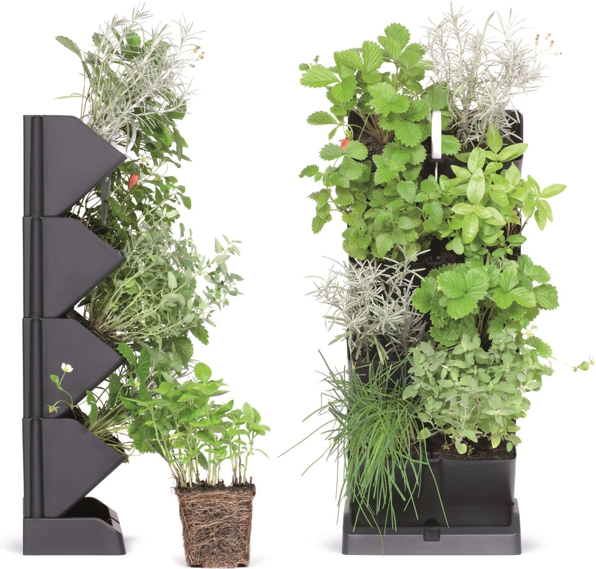 Prosperplast Verticale Kruidentuin Kunststof - Staand/hangend - Modulair - Antraciet Grijs - L 20 X B 11 X H 48 Cm - Incl. Kruidenschaar 4 Prosperplast Verticale Kruidentuin Kunststof - Staand/hangend - Modulair - Antraciet Grijs - L 20 X B 11 X H 48 Cm - Incl. Kruidenschaar - Afbeelding 4