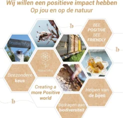 Ophangsysteem - Plafondhaak RVS - Ophanghaak TRX - Hangstoel Buiten - Hangstoel Binnen – Schommelstoel - Schommel - Bokszakken - RVS - 300kg 14 Ophangsysteem - Plafondhaak RVS - Ophanghaak TRX - Hangstoel Buiten - Hangstoel Binnen – Schommelstoel - Schommel - Bokszakken - RVS - 300kg -Tuinwereld Verkoop 1200x1150