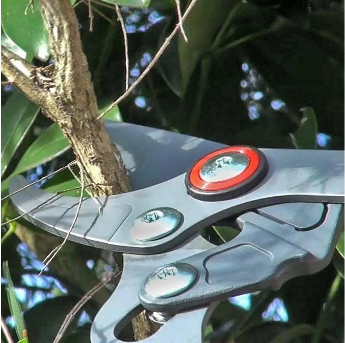 WOLF-Garten Takkenschaar POWER CUT RR*** 900 T - Lengte 650-900mm - Telescoop - Aluminium Hefboomarmen - 4x Meer Kracht - Messpanning Instelbaar 7 WOLF-Garten Takkenschaar POWER CUT RR*** 900 T - Lengte 650-900mm - Telescoop - Aluminium Hefboomarmen - 4x Meer Kracht - Messpanning Instelbaar - Afbeelding 7