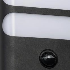 QAZQA Gaev - Moderne LED Wandlamp Met Bewegingsmelder | Bewegingssensor | Sensor Voor Buiten - 1 Lichts - D 5 Cm - Zwart - Buitenverlichting -Tuinwereld Verkoop 1200x1200 1112