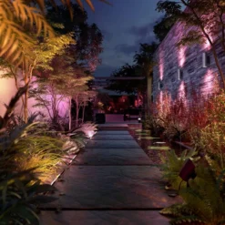 Philips Hue Amarant Verstraler - Wit En Gekleurd Licht - Zwart - Laagspanning -Tuinwereld Verkoop 1200x1200 1204