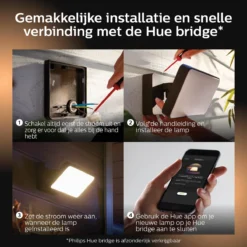 Philips Hue Outdoor Welcome Floodlight Schijnwerper - White - Zwart - 15W - IP44 -Tuinwereld Verkoop 1200x1200 1356