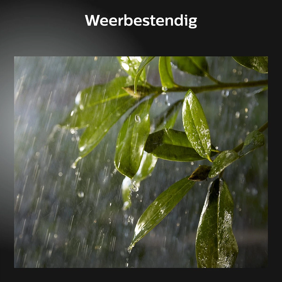 Philips Hue Lily Tuinspot Starterspakket Met Hue Bridge - Prikspot White And Color Ambiance - Prikspots Voor Buiten - Tuinverlichting - 3 Spots - Zwart 13 Philips Hue Lily Tuinspot Starterspakket Met Hue Bridge - Prikspot White And Color Ambiance - Prikspots Voor Buiten - Tuinverlichting - 3 Spots - Zwart - Afbeelding 13