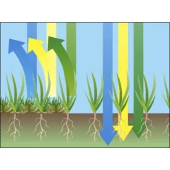 GARDENA EVC 1000 Verticuteermachine - Werkbreedte 30 Cm - Werkgebied 600m2 25 GARDENA EVC 1000 Verticuteermachine - Werkbreedte 30 Cm - Werkgebied 600m2 -Tuinwereld Verkoop 1200x1200 1921
