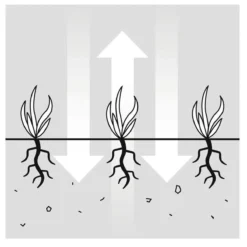 GARDENA EVC 1000 Verticuteermachine - Werkbreedte 30 Cm - Werkgebied 600m2 26 GARDENA EVC 1000 Verticuteermachine - Werkbreedte 30 Cm - Werkgebied 600m2 -Tuinwereld Verkoop 1200x1200 1922
