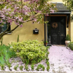 Talen Tools - Voetenveger - Dubbel - Harde Kunststof Borstels -Tuinwereld Verkoop 1200x1200 2041