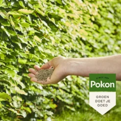 Pokon Beuken & Hagen Mest - 2,5kg - Meststof - 3-in-1 Werking -Tuinwereld Verkoop 1200x1200 2370