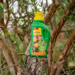 ECOstyle Citrus & Olijf Voeding - Stevige Vrucht - Langdurige Werking - Voor Alle Mediterrane Planten En Bomen 500 ML -Tuinwereld Verkoop 1200x1200 2375