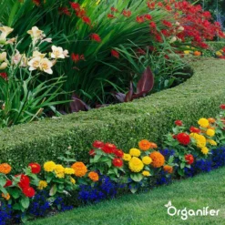 Lavagruis Uit Eifel Oergesteente (20Kg Voor 200m2) Grof Lavameel 0-2mm - Organifer -Tuinwereld Verkoop 1200x1200 2380