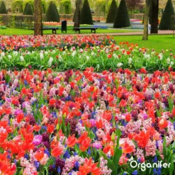 Lavagruis Uit Eifel Oergesteente (20Kg Voor 200m2) Grof Lavameel 0-2mm - Organifer -Tuinwereld Verkoop 1200x1200 2381