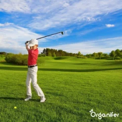 Lavagruis Uit Eifel Oergesteente (20Kg Voor 200m2) Grof Lavameel 0-2mm - Organifer -Tuinwereld Verkoop 1200x1200 2382