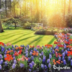 Lavagruis Uit Eifel Oergesteente (20Kg Voor 200m2) Grof Lavameel 0-2mm - Organifer -Tuinwereld Verkoop 1200x1200 2389