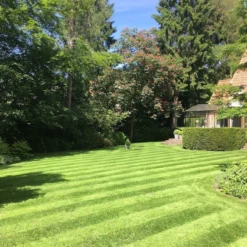 Gazonmest Met Ijzersulfaat Voor 100m²Gras | Gazon Meststof Met Ijzer | Mos Bestrijding & Gras Bemesting In Één | Ideaal Voor Meststofstrooier | Gazonbemesting 12 Gazonmest Met Ijzersulfaat Voor 100m²Gras | Gazon Meststof Met Ijzer | Mos Bestrijding & Gras Bemesting In Één | Ideaal Voor Meststofstrooier | Gazonbemesting -Tuinwereld Verkoop 1200x1200 2398