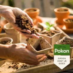 Pokon Stekpoeder - 25gr - Stimuleert Wortelvorming -Tuinwereld Verkoop 1200x1200 2405