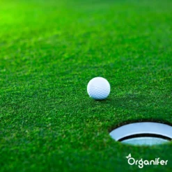 Gazonmest All-In-One (5Kg - Voor 100m2) Voor Een Diepgroen Sterk Gazon Zonder Mos En Onkruid - Complete Meststof Met Kalk En Grasversterker - Organifer -Tuinwereld Verkoop 1200x1200 2417