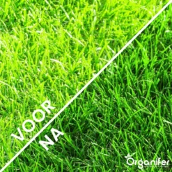 Kalk Korrel Meststof Verrijkt Met Magnesium (20Kg - Voor 400m2) Voor Dieper Bladgroen (+PH) Speciaal Voor Gazon, Perken, Moestuin En Openbaar Groen - Organifer -Tuinwereld Verkoop 1200x1200 2423