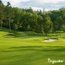 Kalk Korrel Meststof Verrijkt Met Magnesium (20Kg - Voor 400m2) Voor Dieper Bladgroen (+PH) Speciaal Voor Gazon, Perken, Moestuin En Openbaar Groen - Organifer -Tuinwereld Verkoop 1200x1200 2427