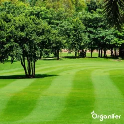 Kalk Korrel Meststof Verrijkt Met Magnesium (20Kg - Voor 400m2) Voor Dieper Bladgroen (+PH) Speciaal Voor Gazon, Perken, Moestuin En Openbaar Groen - Organifer -Tuinwereld Verkoop 1200x1200 2433