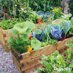 Kalk Korrel Meststof Verrijkt Met Magnesium (20Kg - Voor 400m2) Voor Dieper Bladgroen (+PH) Speciaal Voor Gazon, Perken, Moestuin En Openbaar Groen - Organifer -Tuinwereld Verkoop 1200x1200 2436