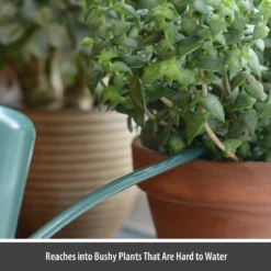 CKB LTD - Gieters - Gieter - Retro - Gietertje - Kleine Gieter Voor Binnen En Buiten - 1 Liter - Groen Plantengieter Tuingieter Bloemengieter Mini Klein Metaal Binnenplantjes Gietertjes Tuingieters Vintage Kamerplanten Buitengieter Binnenshuis -Tuinwereld Verkoop 1200x1200 2483