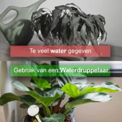 Waterdruppelaar Set Van 12 Stuks - Waterdruppelaar Voor Planten - Watergeefsysteem - Waterbol Irrigatiesysteem - Automatisch Druppelsysteem Voor Kamerplanten & Tuin - Watergever - Transparant - 15cm -Tuinwereld Verkoop 1200x1200 2515