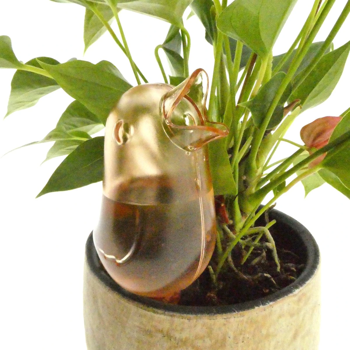 JS Drippy - Waterdruppelaars Set Van 2 Stuks - Druppelaar Vogel - Druppelsysteem Planten - Watergeefsysteem Kamerplanten - Waterbol - Roze 3 JS Drippy - Waterdruppelaars Set Van 2 Stuks - Druppelaar Vogel - Druppelsysteem Planten - Watergeefsysteem Kamerplanten - Waterbol - Roze - Afbeelding 3