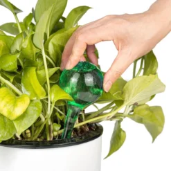 Merkloos Decopatent® 4 Stuks - Waterdruppelaar Voor Planten - Watergever - Glas - Waterbollen - Watergeefsysteem - Plantenbollen - Groen -Tuinwereld Verkoop 1200x1200 2544