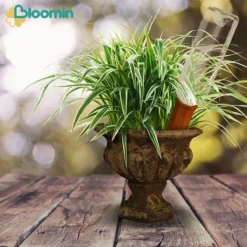 Bloomin Waterdruppelaar Van Terracotta - Waterdruppelaar Voor Planten - Druppelsysteem - Irrigatiesysteem - Watergeefsysteem - Bewateringssysteem - 8 Stuks -Tuinwereld Verkoop 1200x1200 2546