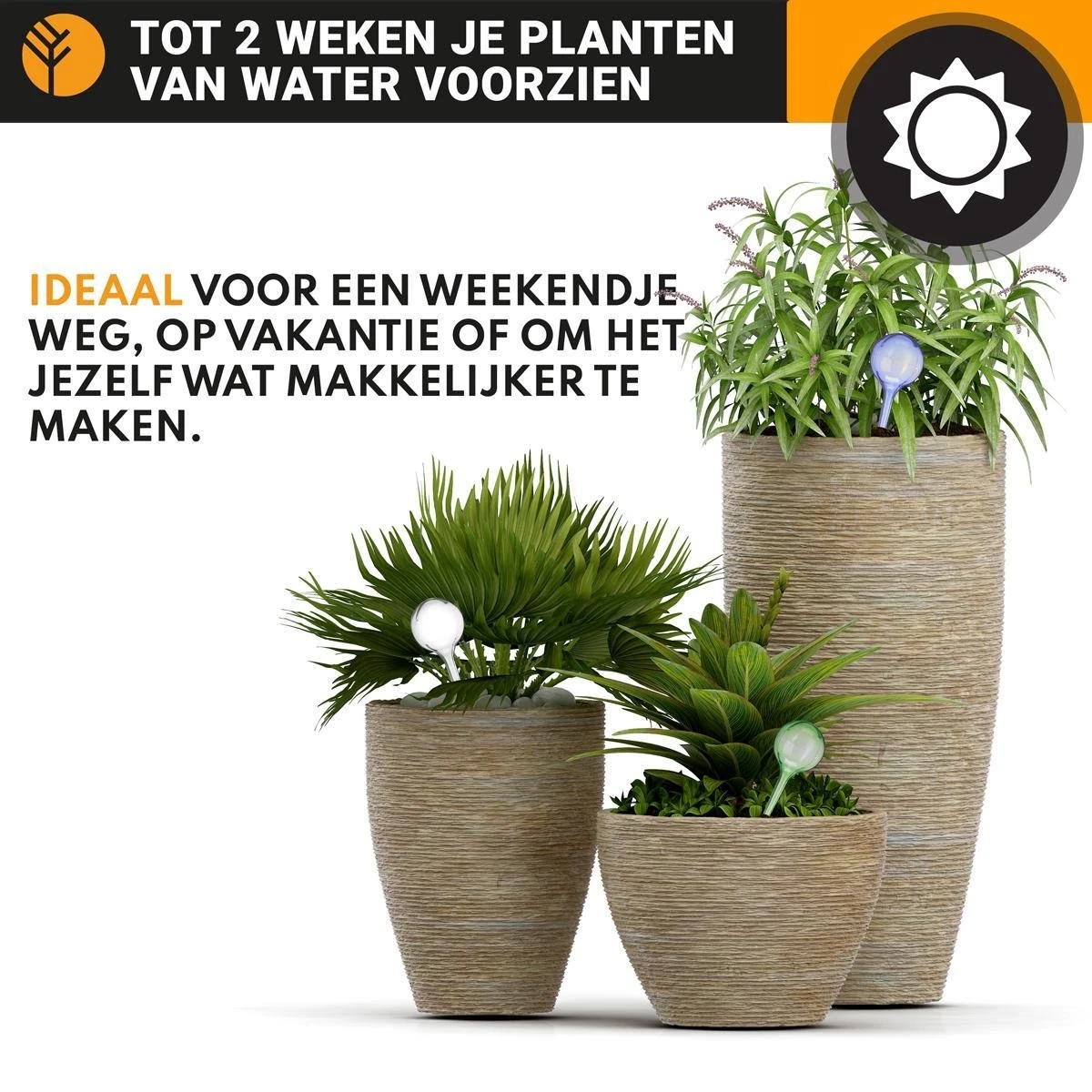 Waterdruppelaar Blauw Set Van 6 Stuks Voor Planten – 27 CM – Automatisch Watergeefsysteem Voor Kamerplanten – Planten Watergever Met Druppelsysteem – Waterbol 2 Waterdruppelaar Blauw Set Van 6 Stuks Voor Planten – 27 CM – Automatisch Watergeefsysteem Voor Kamerplanten – Planten Watergever Met Druppelsysteem – Waterbol - Afbeelding 2