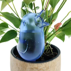 JS Drippy - Waterdruppelaars Set Van 2 Stuks - Druppelaar Vogel - Druppelsysteem Planten - Watergeefsysteem Kamerplanten - Waterbol - Blauw 7 JS Drippy - Waterdruppelaars Set Van 2 Stuks - Druppelaar Vogel - Druppelsysteem Planten - Watergeefsysteem Kamerplanten - Waterbol - Blauw -Tuinwereld Verkoop 1200x1200 2574
