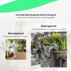 HGMD Waterdruppelaar Set Van 8 Stuks Voor Planten Transparant - Groen - Waterdruppelaar Voor Kamerplanten – Waterbol - Waterdruppelaar Voor Planten - Watergeefsysteem 10 HGMD Waterdruppelaar Set Van 8 Stuks Voor Planten Transparant - Groen - Waterdruppelaar Voor Kamerplanten – Waterbol - Waterdruppelaar Voor Planten - Watergeefsysteem -Tuinwereld Verkoop 1200x1200 2578