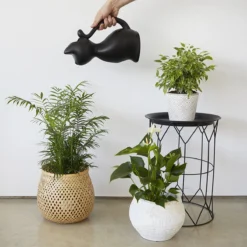 Balvi Meow! Kat Gieter - Zwart 8 Balvi Meow! Kat Gieter - Zwart -Tuinwereld Verkoop 1200x1200 2794