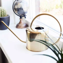 Kikkerland Vintage Gieter - Plantengieter Voor Binnen - Goud - 1,2L - Retro - Metaal -Tuinwereld Verkoop 1200x1200 2798