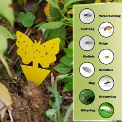 Professor Q - Rouwvliegjes Bestrijden - Fruitvliegjes Vanger - Fruitvlieg - Vliegenvanger - Insectenvanger Tegen Rouwvliegen - Vangplaten - 24 Stuks -Tuinwereld Verkoop 1200x1200 2838