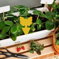 Professor Q - Rouwvliegjes Bestrijden - Fruitvliegjes Vanger - Fruitvlieg - Vliegenvanger - Insectenvanger Tegen Rouwvliegen - Vangplaten - 24 Stuks -Tuinwereld Verkoop 1200x1200 2840