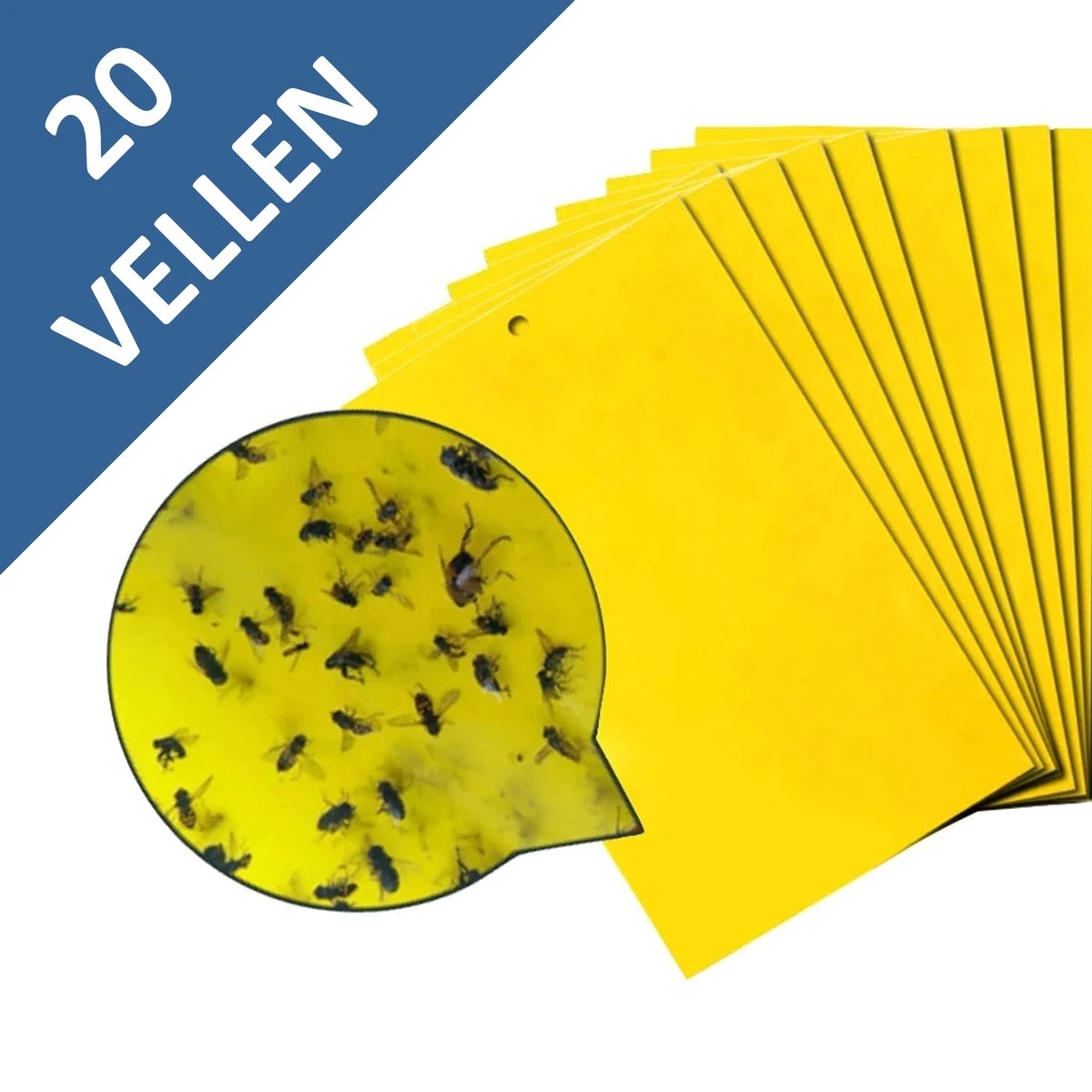 Fruitvliegjes Vanger - Rouwvliegjes Bestrijden - 20 Vellen - Vliegenvanger - 15 X 20 Cm Vellen 1 Fruitvliegjes Vanger - Rouwvliegjes Bestrijden - 20 Vellen - Vliegenvanger - 15 X 20 Cm Vellen