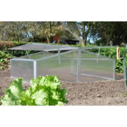 Royal Well Broeikas Silver Thyme 11 Royal Well Broeikas Silver Thyme -Tuinwereld Verkoop 1200x1200 3069