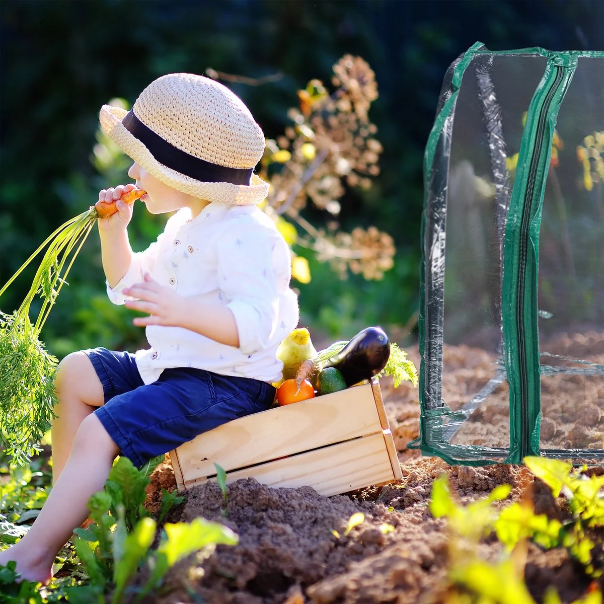 Relaxdays Kweekkas Tunnel Met Raam - Kleine Tuinkas - Ronde Broeikas - Kunststof Hobbykas 9 Relaxdays Kweekkas Tunnel Met Raam - Kleine Tuinkas - Ronde Broeikas - Kunststof Hobbykas - Afbeelding 9