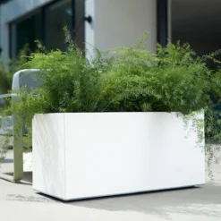 Elho Vivo Matt Finish Lang Wielen 90 - Grote Staande Plantenbak Voor Binnen & Buiten - Gemaakt Van Gereycled Plastic - L 39 X W 88 X H 41 Cm - Wit 16 Elho Vivo Matt Finish Lang Wielen 90 - Grote Staande Plantenbak Voor Binnen & Buiten - Gemaakt Van Gereycled Plastic - L 39 X W 88 X H 41 Cm - Wit -Tuinwereld Verkoop 1200x1200 3107