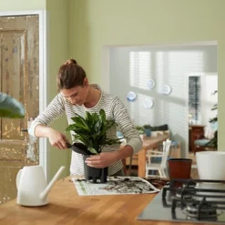 Elho Self-watering Insert 33 - Accessoires Voor Binnenaccessoires - Ø 33.3 X H 30.7 Cm - Zwart/Living Black -Tuinwereld Verkoop 1200x1200 3119