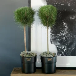 Riviera Maison Bloempot Voor Binnen Zwart - City Loft Flower Pot S -Tuinwereld Verkoop 1200x1200 3124